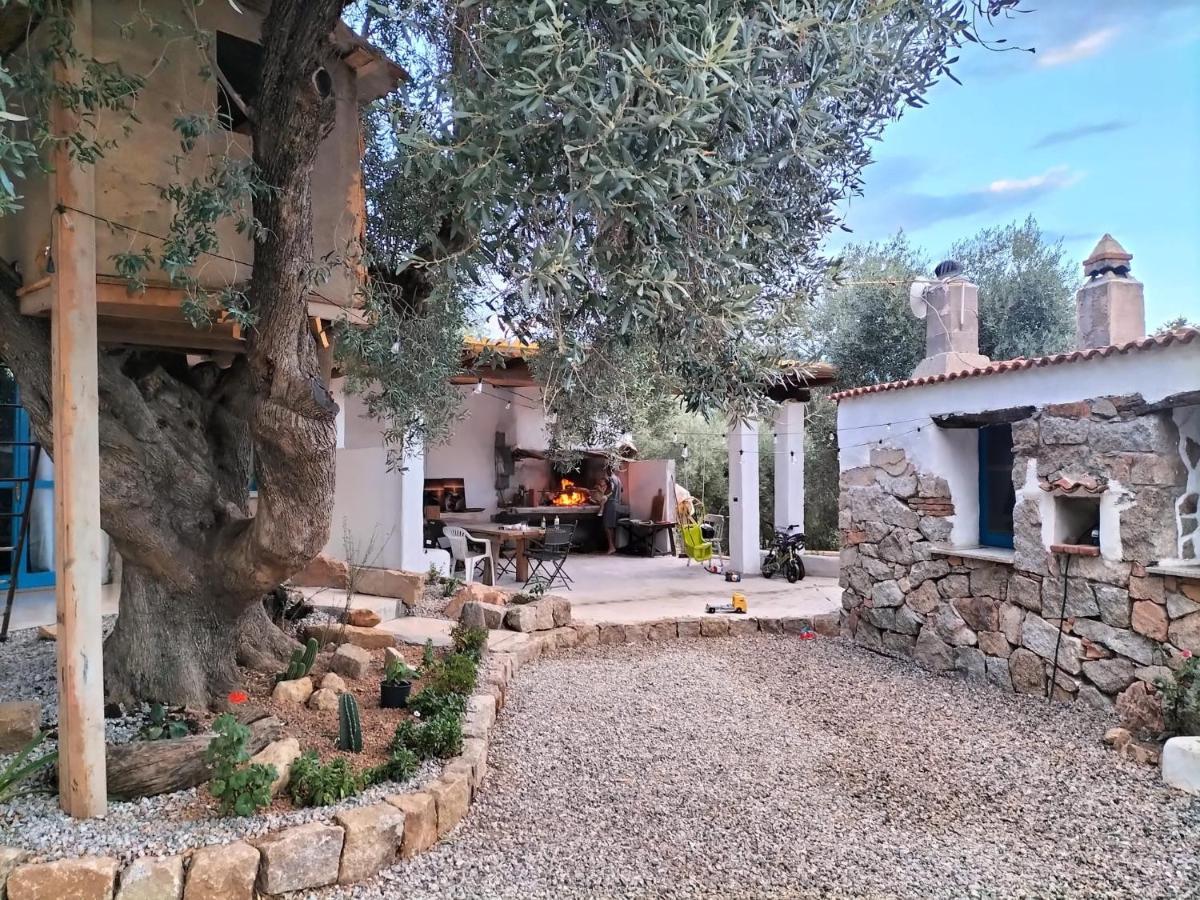 Bed and Breakfast Sole In Ogliastra Jerzu Екстер'єр фото