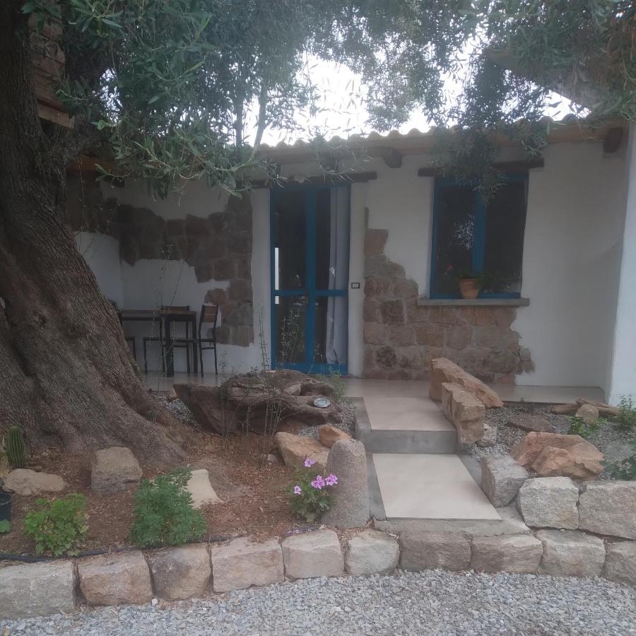 Bed and Breakfast Sole In Ogliastra Jerzu Екстер'єр фото