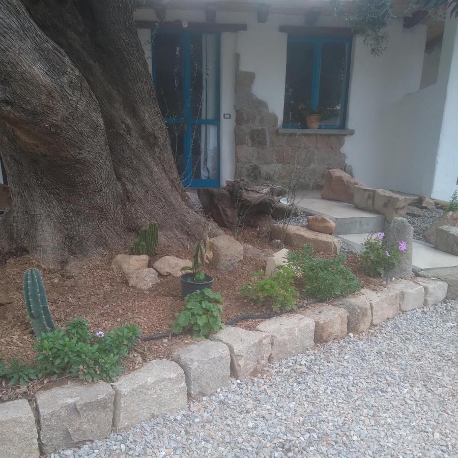 Bed and Breakfast Sole In Ogliastra Jerzu Екстер'єр фото