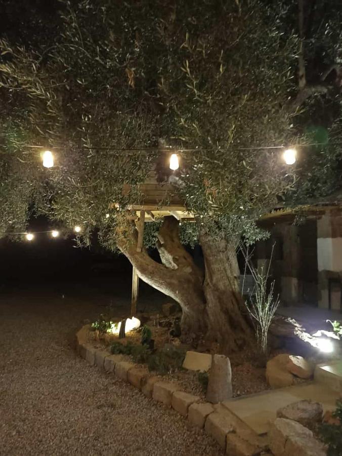Bed and Breakfast Sole In Ogliastra Jerzu Екстер'єр фото
